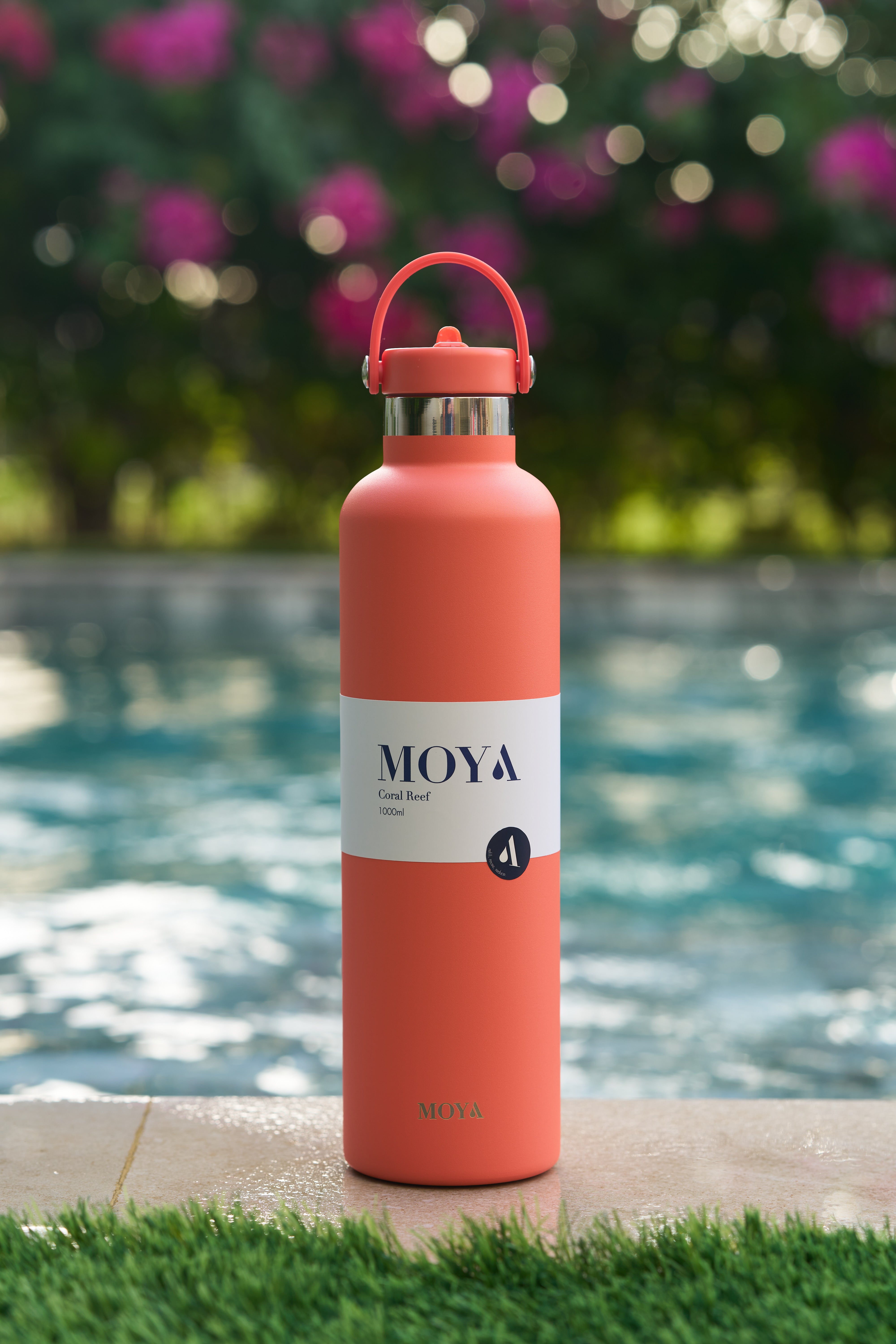 Coral Reef 1L Water Bottle — Spout Lid