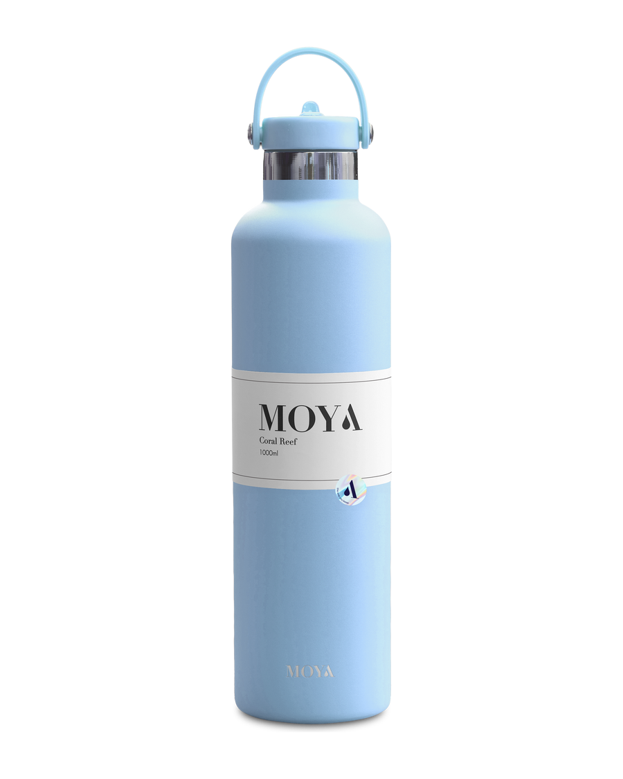 Coral Reef, 1L